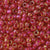 11/o Japanese Seed Bead 0389C Fancy - Beads Gone Wild
