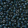 15/O Japanese Seed Beads Fancy 338A - Beads Gone Wild
