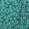 6/O Japanese Seed Beads Opaque 412D - Beads Gone Wild