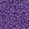 8/O Japanese Seed Beads Frosted F399I - Beads Gone Wild