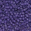 8/O Japanese Seed Beads Frosted F399J - Beads Gone Wild