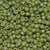 6/O Japanese Seed Beads Frosted F463R - Beads Gone Wild
