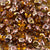 Super Duo Topaz Capri Gold 2.5x5mm - Beads Gone Wild
