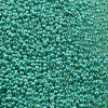 15/o Japanese Seed Beads Permanent P474 - Beads Gone Wild