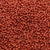 15/o Japanese Seed Beads Permanent P485 - Beads Gone Wild
