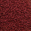 15/o Japanese Seed Beads Permanent P489 - Beads Gone Wild