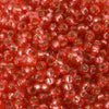 11/o Japanese Seed Bead D4263 Duracoat - Beads Gone Wild