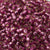 11/o Japanese Seed Bead D4269 Duracoat - Beads Gone Wild
