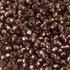 11/o Japanese Seed Bead D4280 Duracoat - Beads Gone Wild