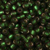11/o Japanese Seed Bead F0037 npf Frosted - Beads Gone Wild
