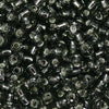 11/o Japanese Seed Bead 0021 Silverlined - Beads Gone Wild