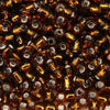 15/O Japanese Seed Beads Silverlined 5 - Beads Gone Wild