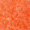 11/o Japanese Seed Bead 0205H Crystal - Beads Gone Wild