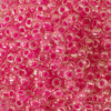 11/o Japanese Seed Bead 0209D Crystal - Beads Gone Wild