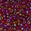 11/o Japanese Seed Bead 0254A Rainbow - Beads Gone Wild