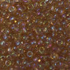 11/o Japanese Seed Bead 0256A Rainbow - Beads Gone Wild