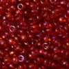 11/o Japanese Seed Bead 0299K npf Rainbow - Beads Gone Wild
