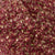 11/o Japanese Seed Bead 0300L Gold Luster - Beads Gone Wild

