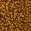 11/o Japanese Seed Bead 0327E Fancy - Beads Gone Wild