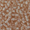 11/o Japanese Seed Bead 0327K Fancy - Beads Gone Wild