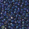11/o Japanese Seed Bead 0356C Fancy - Beads Gone Wild