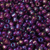 11/o Japanese Seed Bead 0356E Fancy - Beads Gone Wild