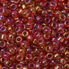 11/o Japanese Seed Bead 0356N Fancy - Beads Gone Wild