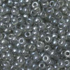 11/o Japanese Seed Bead 0368 Fancy - Beads Gone Wild