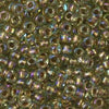 11/o Japanese Seed Bead 0378I Fancy - Beads Gone Wild