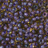 11/o Japanese Seed Bead 0382 Fancy - Beads Gone Wild
