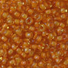 11/o Japanese Seed Bead 0388 Fancy - Beads Gone Wild