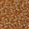 11/o Japanese Seed Bead 0391 Fancy - Beads Gone Wild