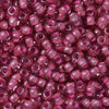 11/o Japanese Seed Bead 0395 Fancy - Beads Gone Wild