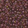 11/o Japanese Seed Bead 0396 Fancy - Beads Gone Wild