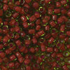 11/o Japanese Seed Bead 0398A Fancy - Beads Gone Wild