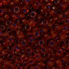11/o Japanese Seed Bead 0398D Fancy - Beads Gone Wild