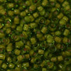 11/o Japanese Seed Bead 0398G Fancy - Beads Gone Wild