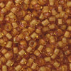 11/o Japanese Seed Bead 0398H Fancy - Beads Gone Wild
