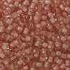 11/o Japanese Seed Bead 0399T Fancy - Beads Gone Wild
