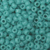 11/o Japanese Seed Bead 0412D Opaque - Beads Gone Wild