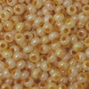 11/o Japanese Seed Bead 0529 npf Ceylon - Beads Gone Wild