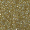 15/O Japanese Seed Beads Crystal 201A - Beads Gone Wild