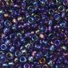 15/O Japanese Seed Beads Rainbow 255 - Beads Gone Wild