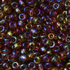 6/O Japanese Seed Beads Rainbow 257 - Beads Gone Wild