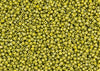 11/o Japanese Seed Bead 2630F Semi-Glazed - Beads Gone Wild