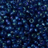 15/O Japanese Seed Beads Rainbow 299A npf - Beads Gone Wild