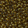 8/O Japanese Seed Beads Fancy 329 - Beads Gone Wild