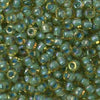 6/O Japanese Seed Beads Fancy 356F - Beads Gone Wild