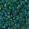 8/O Japanese Seed Beads Fancy 374C - Beads Gone Wild