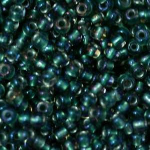 15/O Japanese Seed Beads Fancy 377I - Beads Gone Wild
